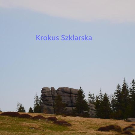 Apartament Krokus Szklarska Szklarska Poręba Buitenkant foto