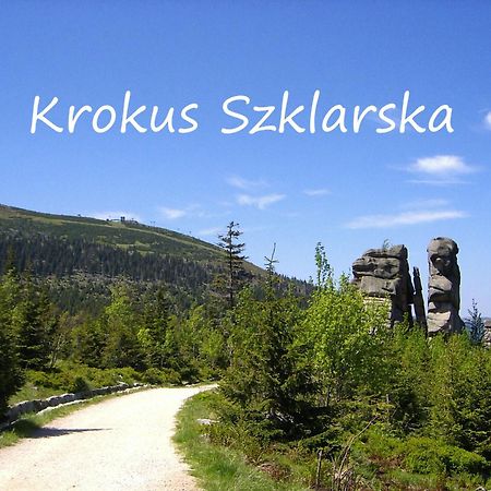 Apartament Krokus Szklarska Szklarska Poręba Buitenkant foto