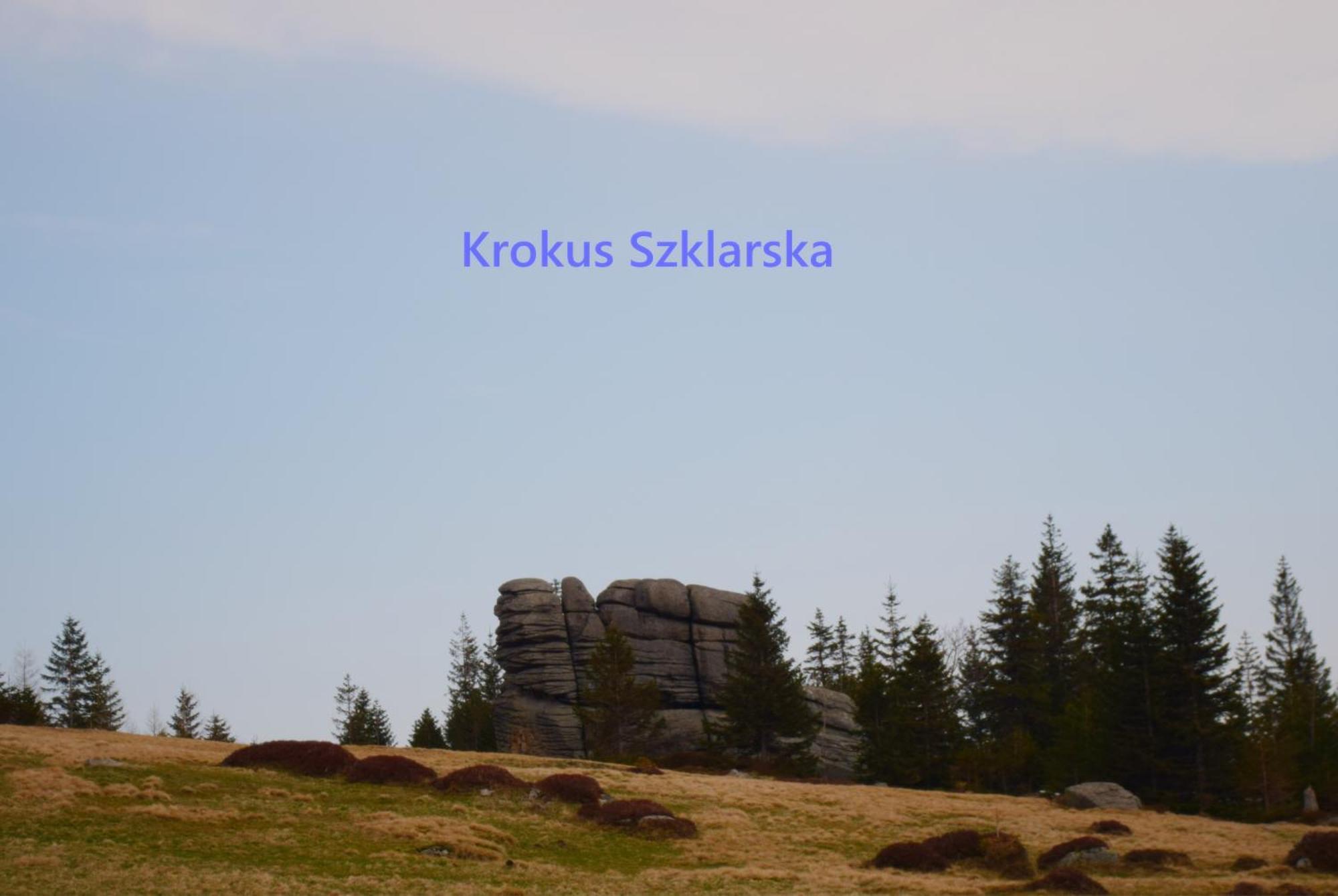 Apartament Krokus Szklarska Szklarska Poręba Buitenkant foto