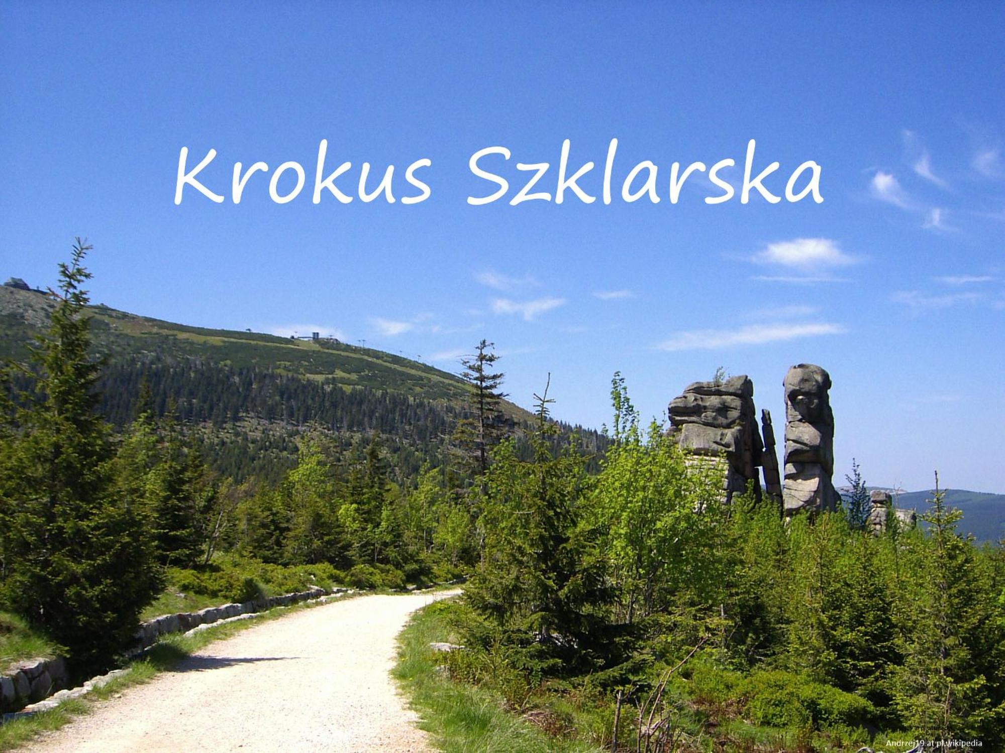 Apartament Krokus Szklarska Szklarska Poręba Buitenkant foto